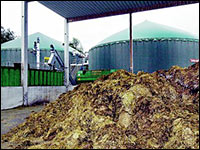 Feststofflager der Biogasanlage Haus Düsse