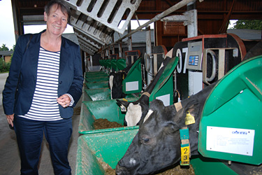 Ministerin Hendricks mit Kuh am Wiegetrog